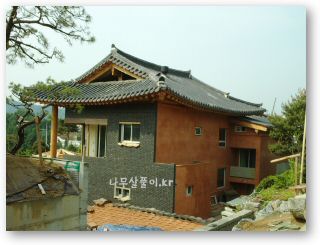 yangji jun roof 022.jpg